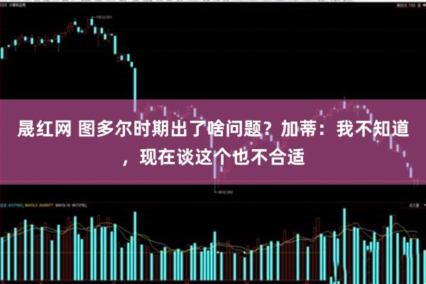 晟红网 图多尔时期出了啥问题？加蒂：我不知道，现在谈这个也不合适