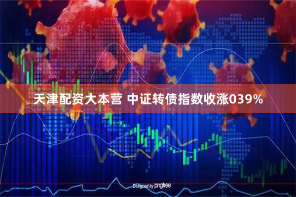 天津配资大本营 中证转债指数收涨039%