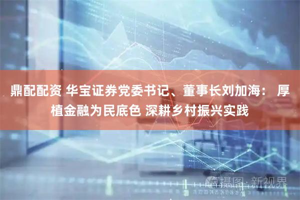 鼎配配资 华宝证券党委书记、董事长刘加海： 厚植金融为民底色 深耕乡村振兴实践