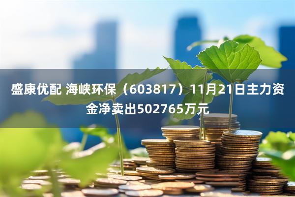 盛康优配 海峡环保（603817）11月21日主力资金净卖出502765万元