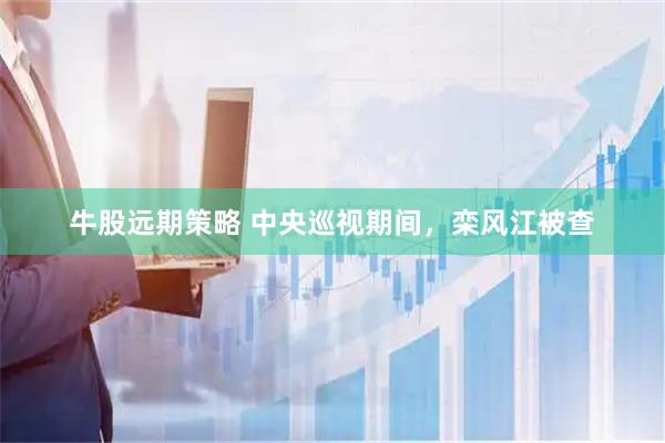 牛股远期策略 中央巡视期间，栾风江被查